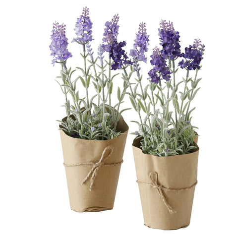 Lavendel 1 DeluxeHomeartshop Belgien